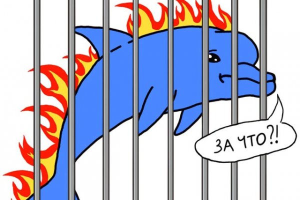 Даркнет каталог
