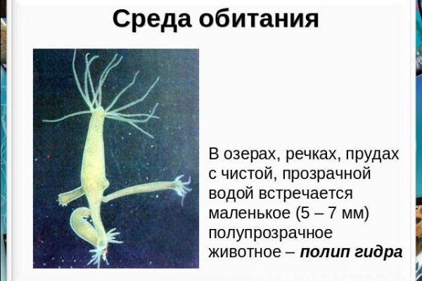 Кракен дарк шоп