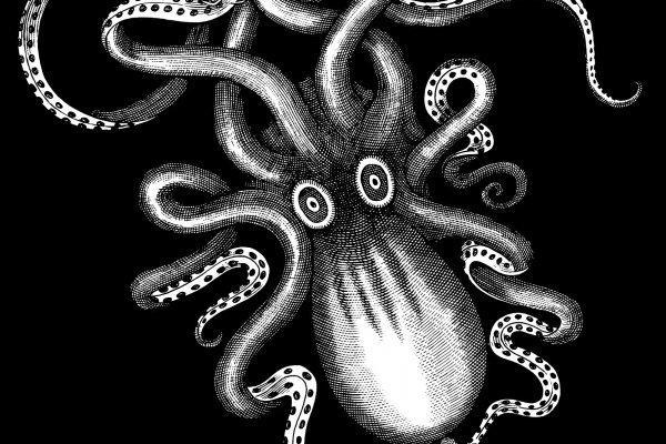 Www kraken 20at net