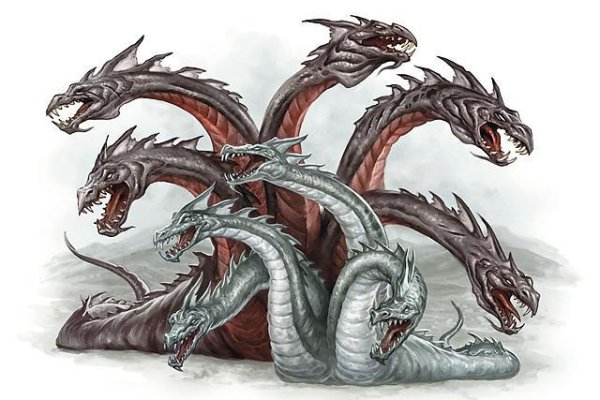 Kraken forum