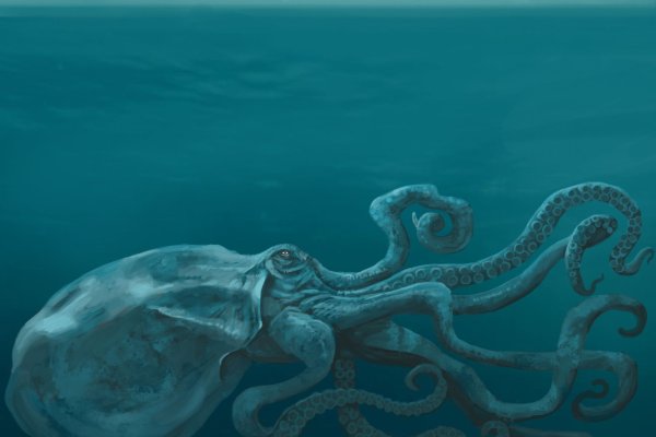Кракен клирнет