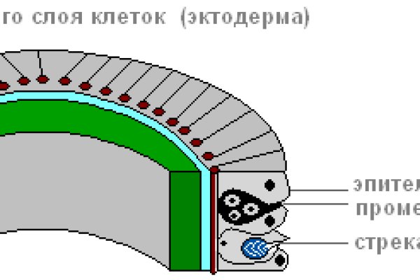 Адрес сайта кракен