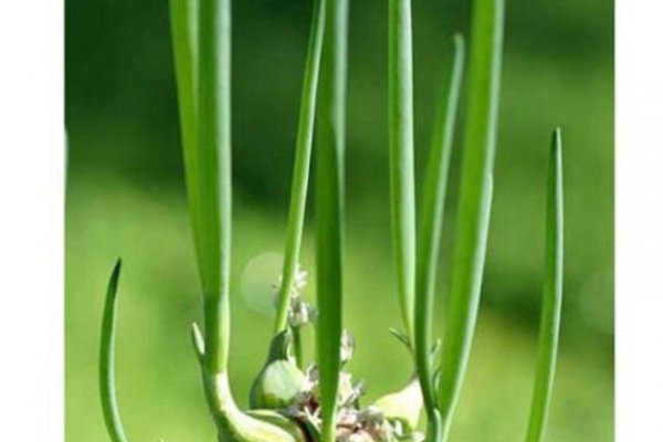 Кракен сайт kr2web in официальный ссылка