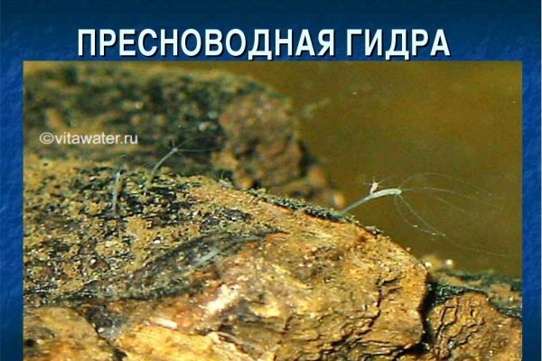 Кракен черный сайт