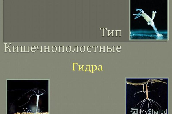 Официальная ссылка на кракен в тор